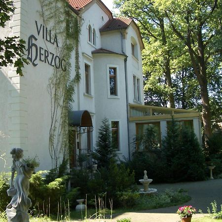 Hotel Villa Herzog Drážďany Exteriér fotografie