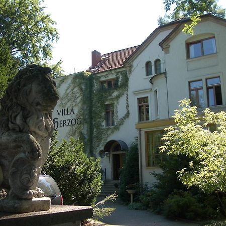 Hotel Villa Herzog Drážďany Exteriér fotografie