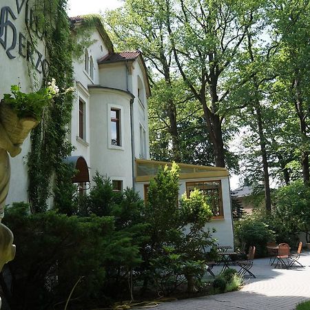 Hotel Villa Herzog Drážďany Exteriér fotografie