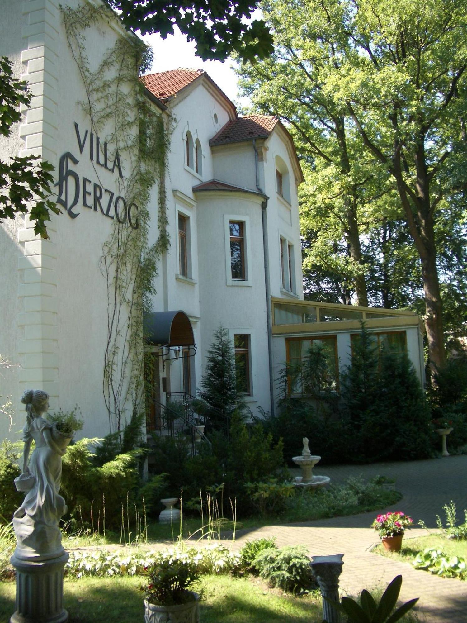 Hotel Villa Herzog Drážďany Exteriér fotografie