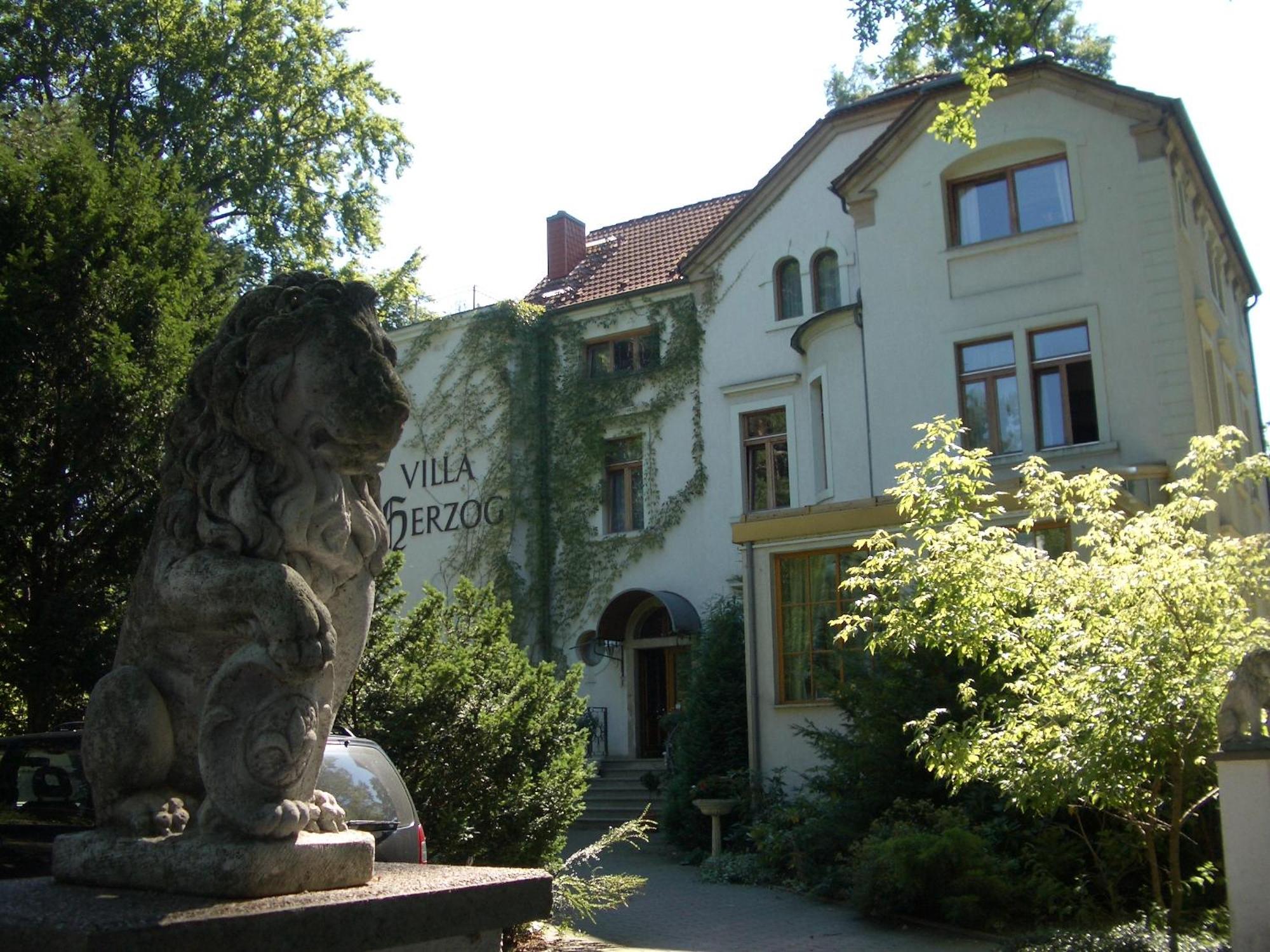 Hotel Villa Herzog Drážďany Exteriér fotografie