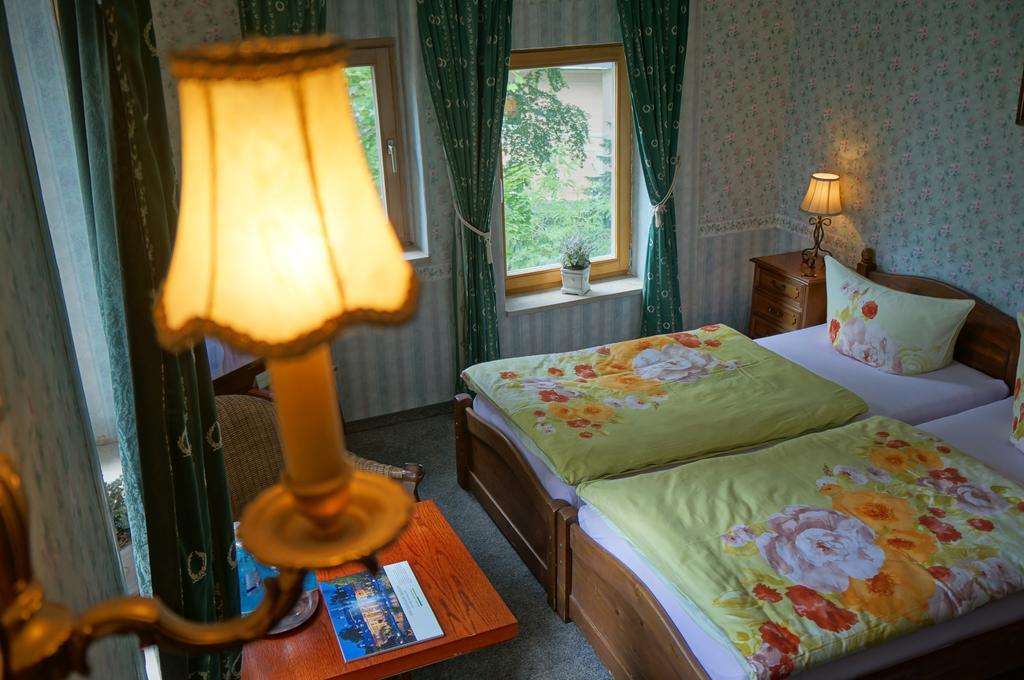 Hotel Villa Herzog Drážďany Exteriér fotografie