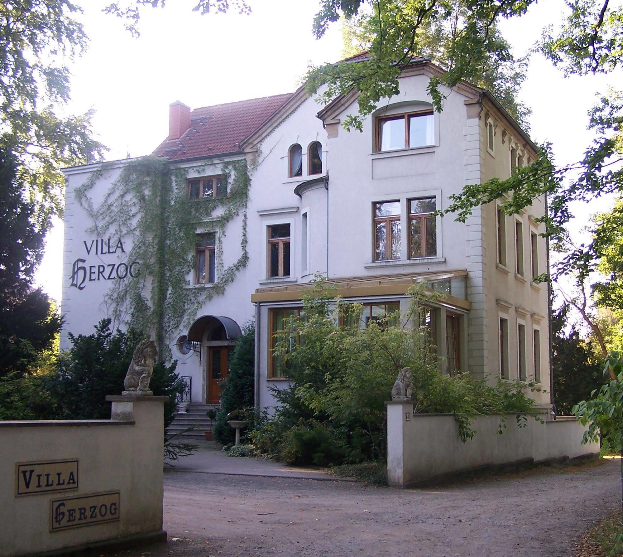 Hotel Villa Herzog Drážďany Exteriér fotografie